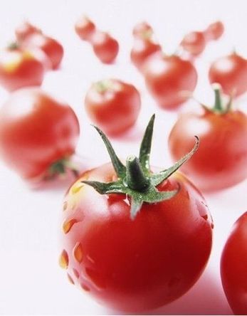 养生美食:番茄保护前列腺 男性黄金食谱(3)_好
