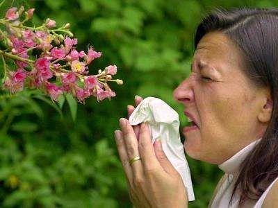 春季也是花粉季 如何预防花粉过敏